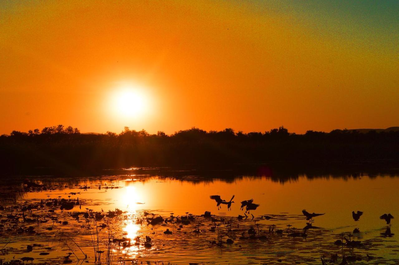 Crocodile Pools River Safaris Габороне Экстерьер фото